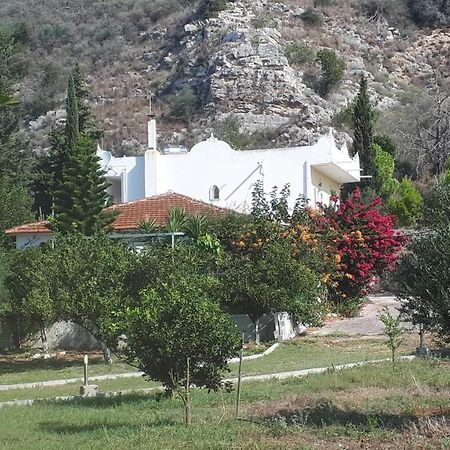 Villa Dunes 350M From The Sandy Beach Kalogria  Esterno foto