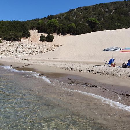 Villa Dunes 350M From The Sandy Beach Kalogria  Esterno foto