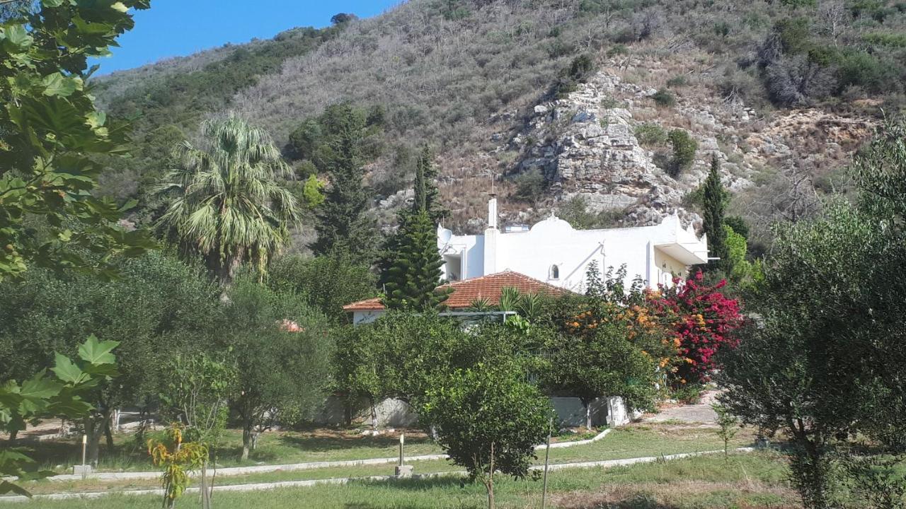Villa Dunes 350M From The Sandy Beach Kalogria  Esterno foto