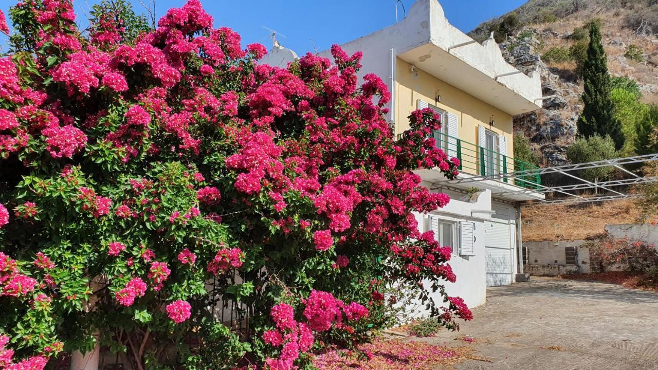 Villa Dunes 350M From The Sandy Beach Kalogria  Esterno foto