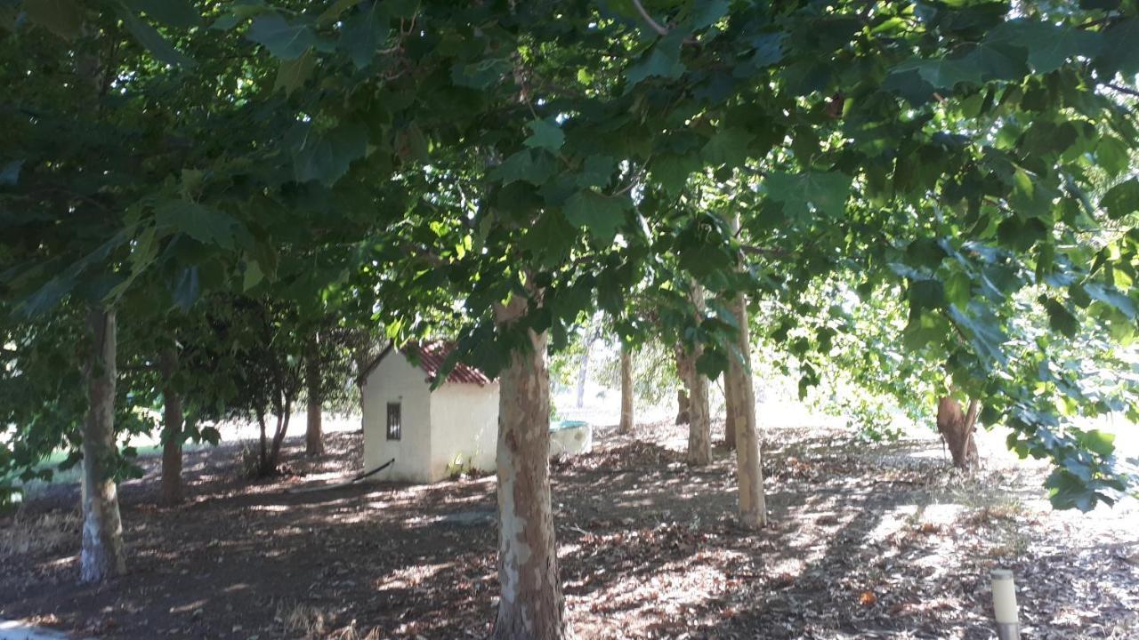 Villa Dunes 350M From The Sandy Beach Kalogria  Esterno foto