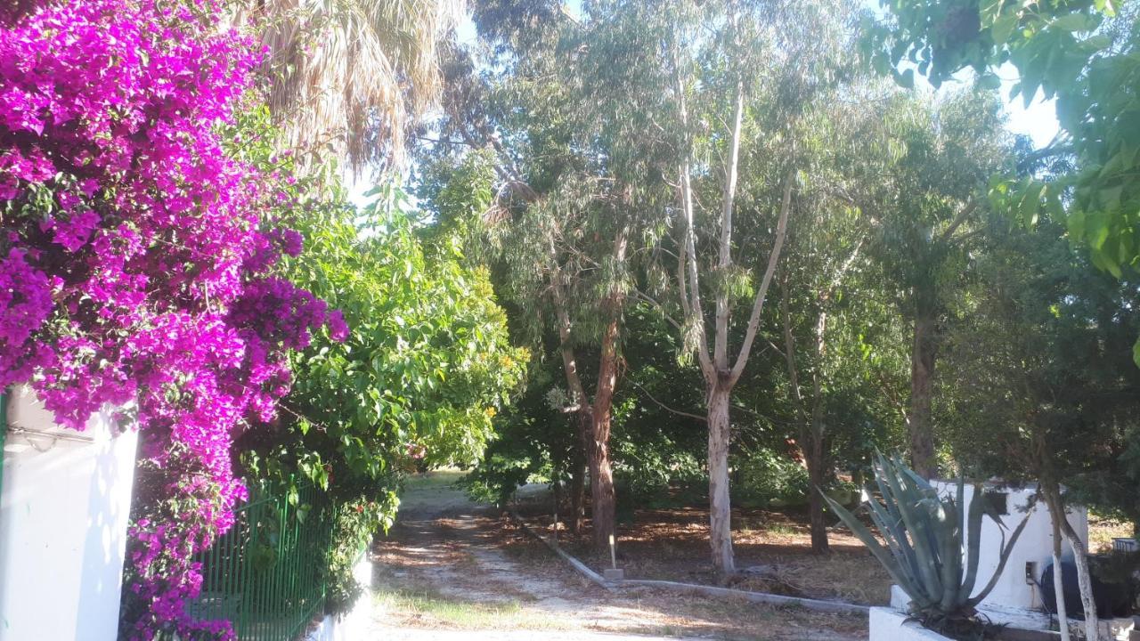 Villa Dunes 350M From The Sandy Beach Kalogria  Esterno foto
