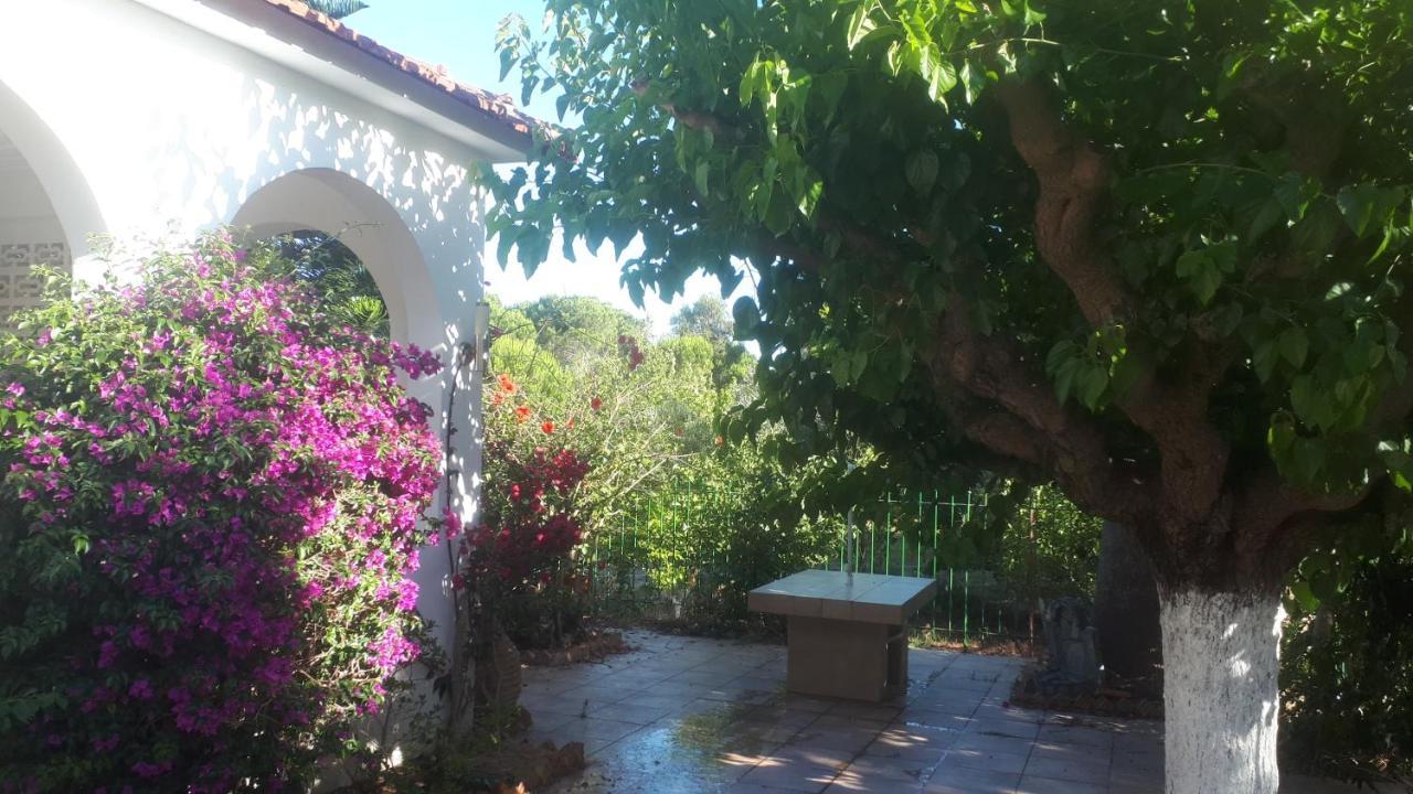 Villa Dunes 350M From The Sandy Beach Kalogria  Esterno foto