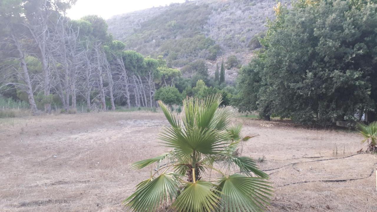 Villa Dunes 350M From The Sandy Beach Kalogria  Esterno foto