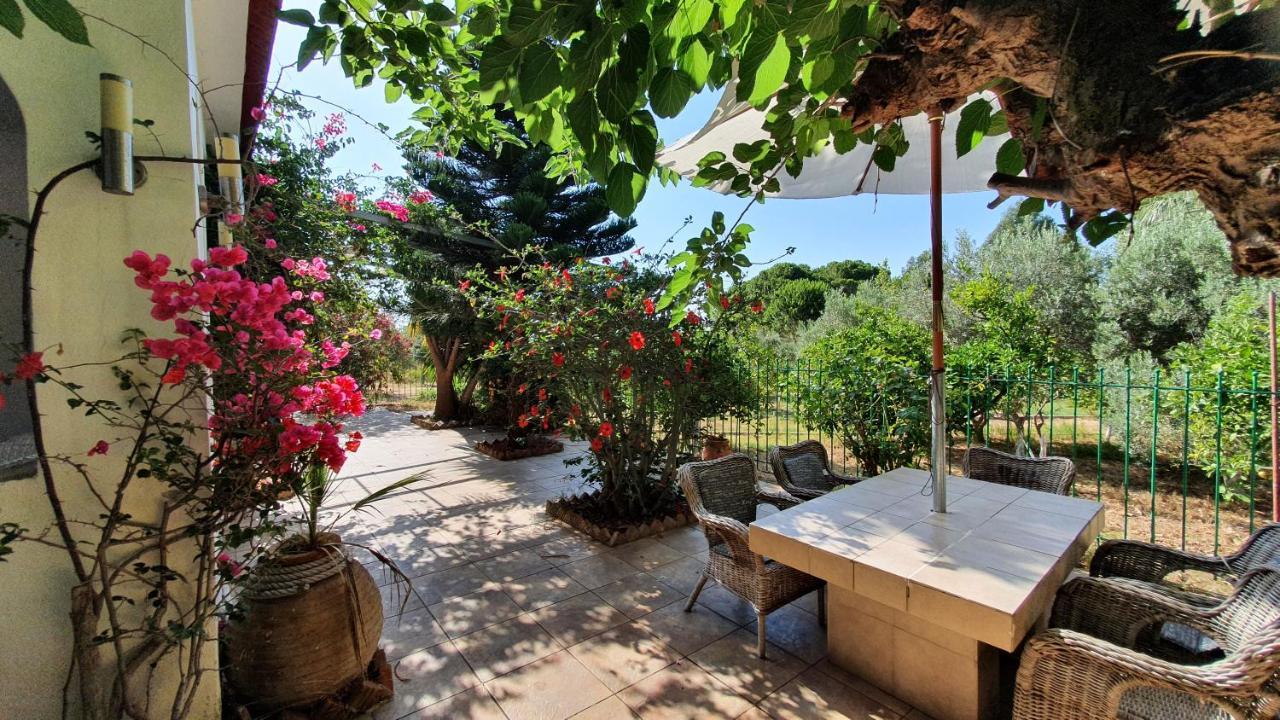 Villa Dunes 350M From The Sandy Beach Kalogria  Esterno foto