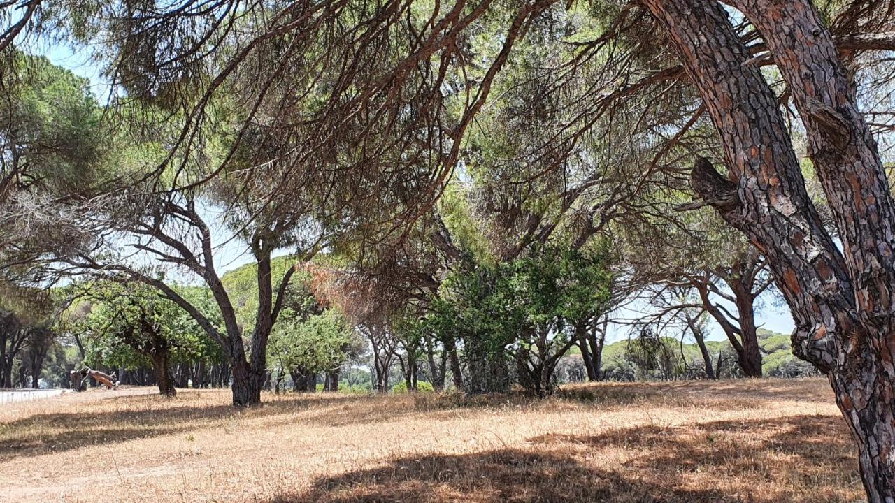 Villa Dunes 350M From The Sandy Beach Kalogria  Esterno foto