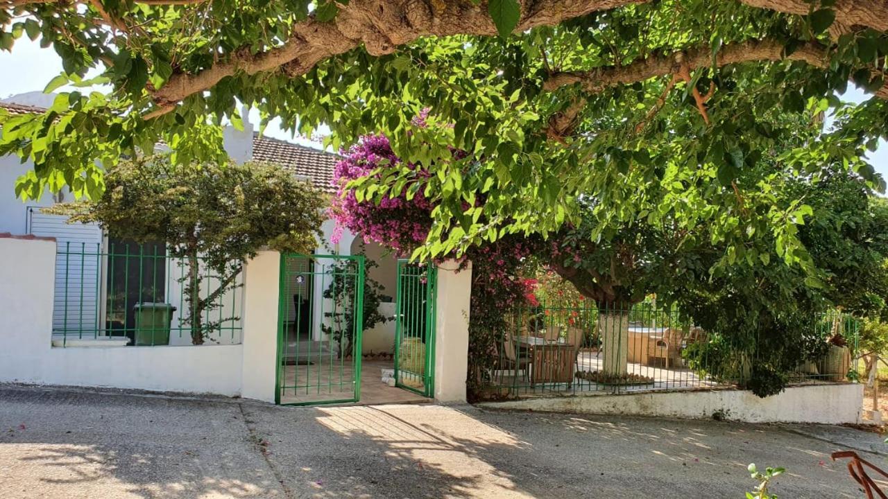 Villa Dunes 350M From The Sandy Beach Kalogria  Esterno foto